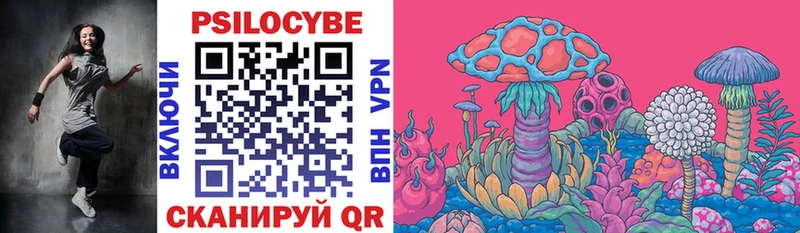 Галлюциногенные грибы Psilocybine cubensis  наркота  Петрозаводск 