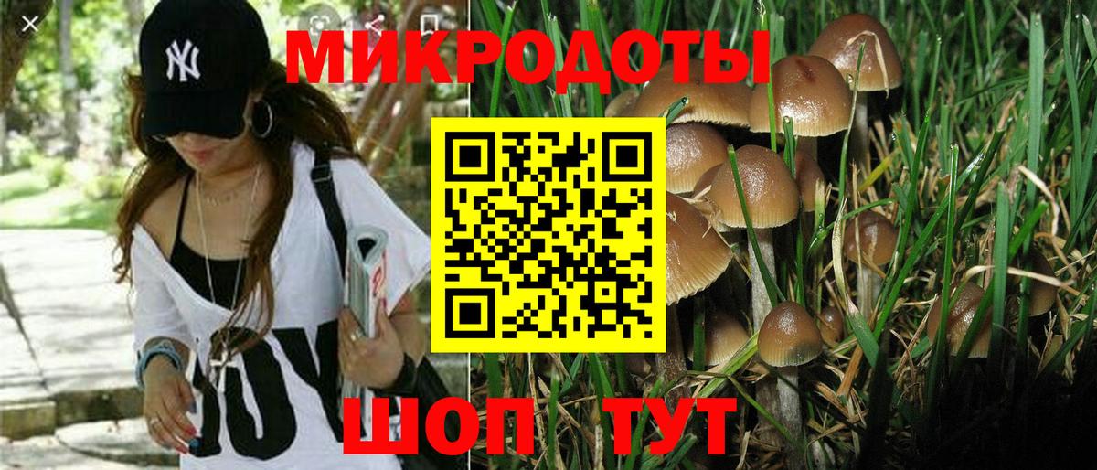 Псилоцибиновые грибы мухоморы  Галлюциногенные грибы ЛСД  Петрозаводск  Вход с VPN 