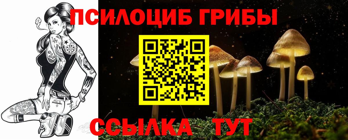 Псилоцибиновые грибы мицелий Петрозаводск